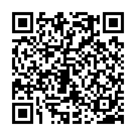 QR code for plate UDY-7110