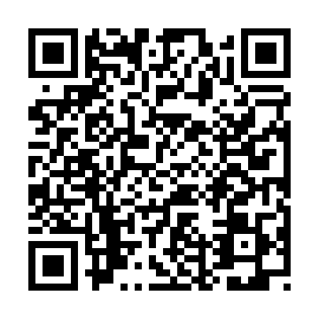 QR code for UDZ0095