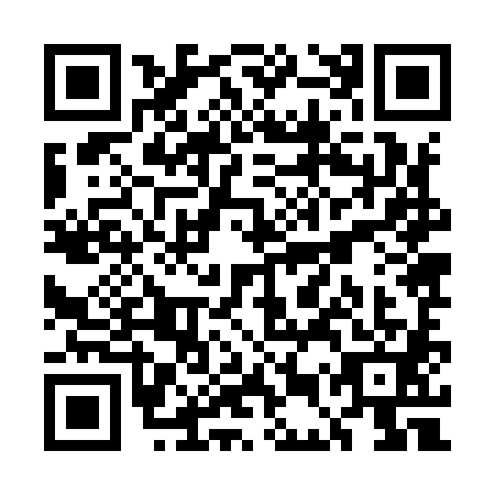 QR code for plate UEZ-9817