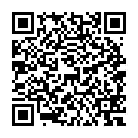 QR code for UFO-2999