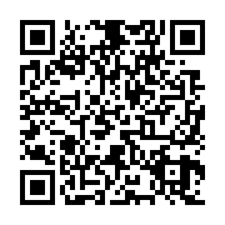 QR code for plate UYN-7290
