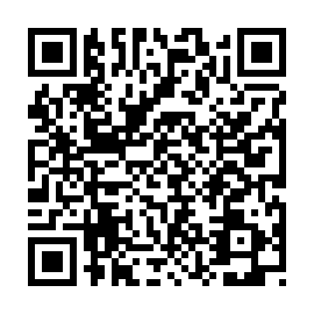 QR code for plate UZH-2919