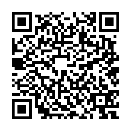 QR code for plate VAG-4335