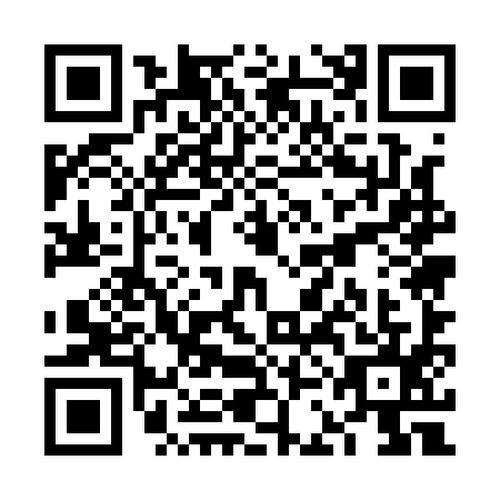 QR code for plate VCE-1955