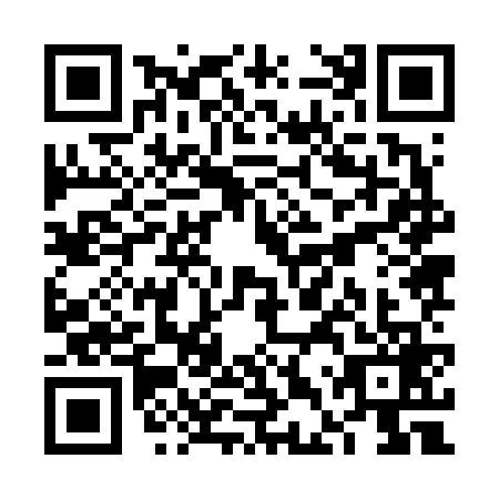 QR code for plate VDZ-6691