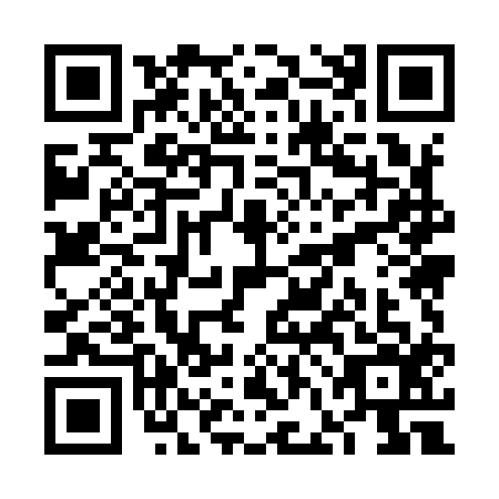 QR code for VFM9163