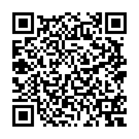 QR code for plate VGI-4106