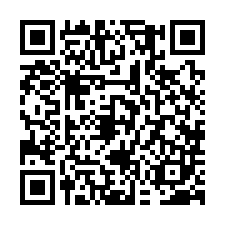 QR code for plate VGX-3833