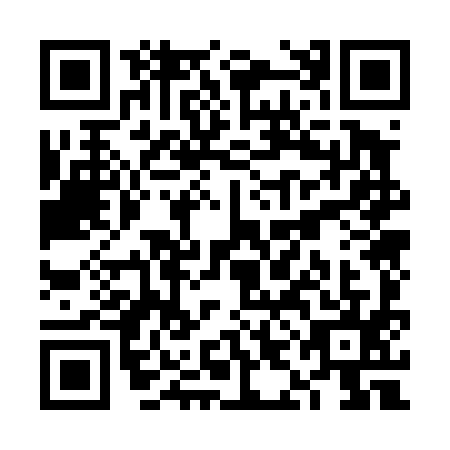 QR code for VIO4957