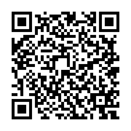 QR code for plate VIU-8153