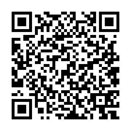 QR code for VIV-1711