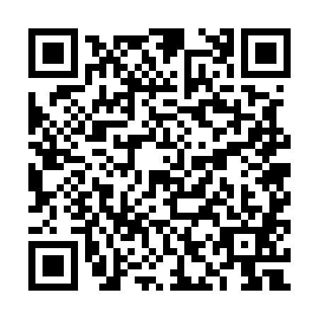QR code for plate VIW-5811