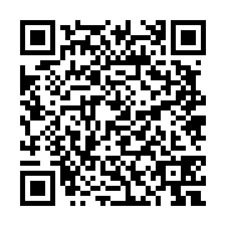 QR code for VIZ4389