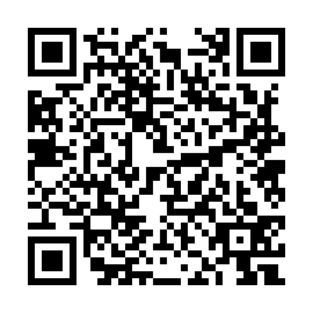 QR code for VJB-9333