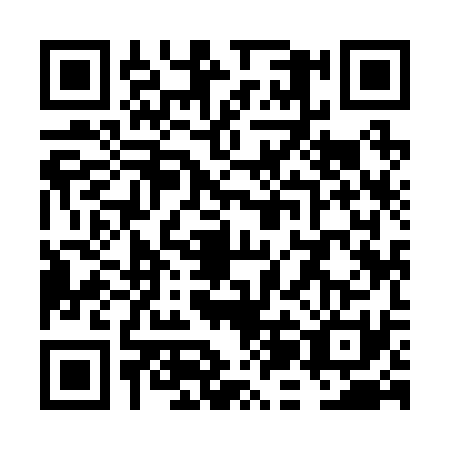 QR code for VJI-2317