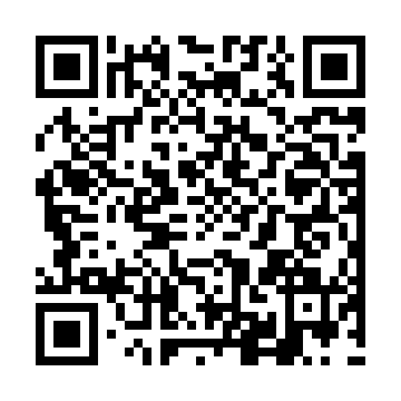 QR code for plate VMG-8413
