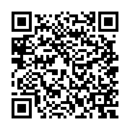 QR code for plate VMU-0539