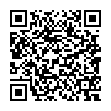 QR code for VNL0541