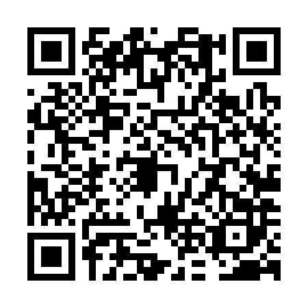 QR code for VNL3828