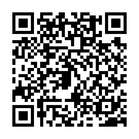 QR code for plate VNO-6313