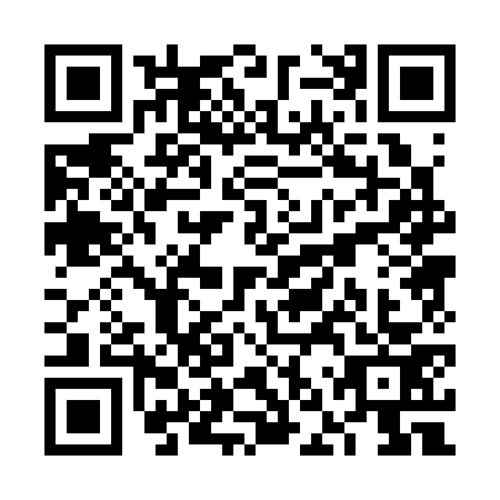 QR code for VNP3733