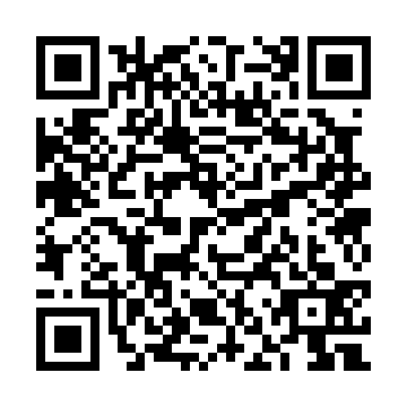 QR code for VNS-0336