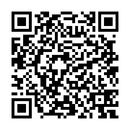 QR code for plate VNS-0399