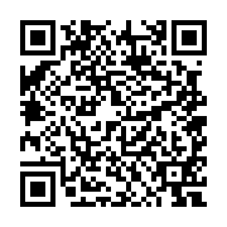 QR code for VPG0911