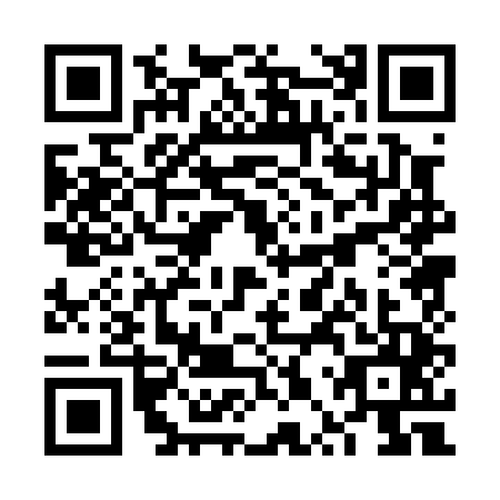 QR code for plate VPP-0455