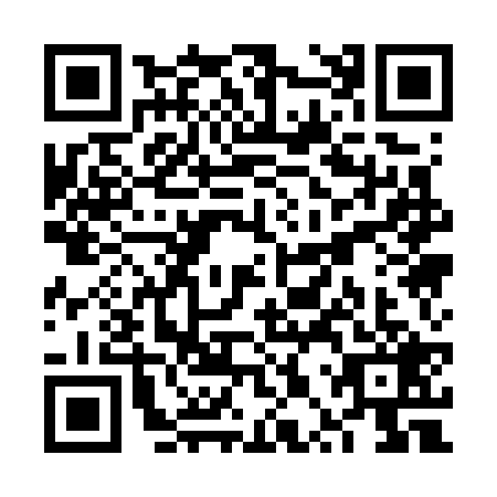 QR code for plate VPQ-7294