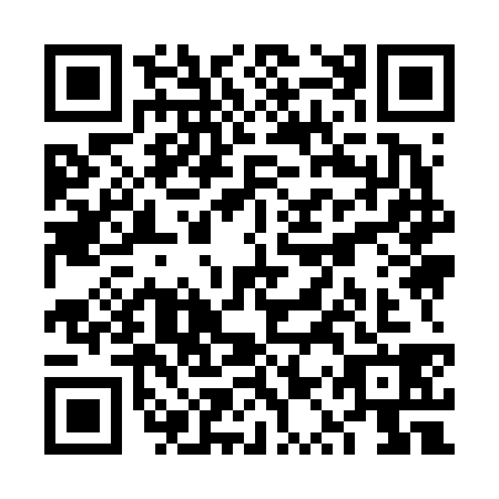 QR code for plate VQY-6385