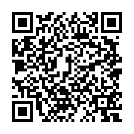 QR code for plate VSM-4513