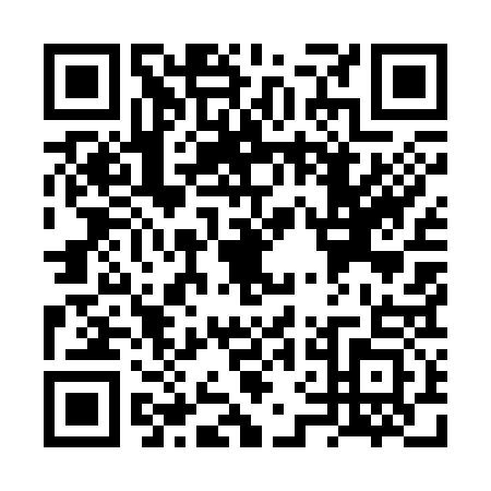 QR code for plate VVM-3336