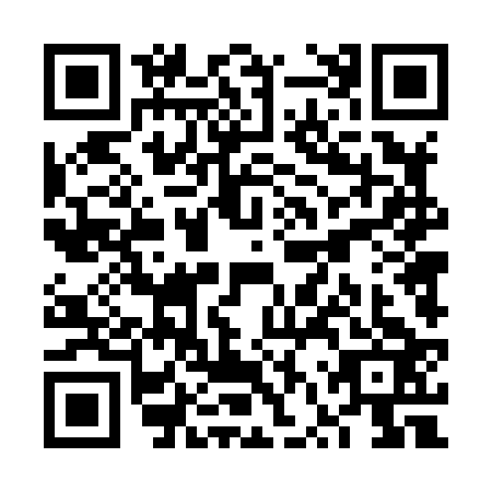 QR code for plate VVT-8233