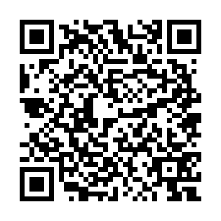 QR code for plate VZZ-6739