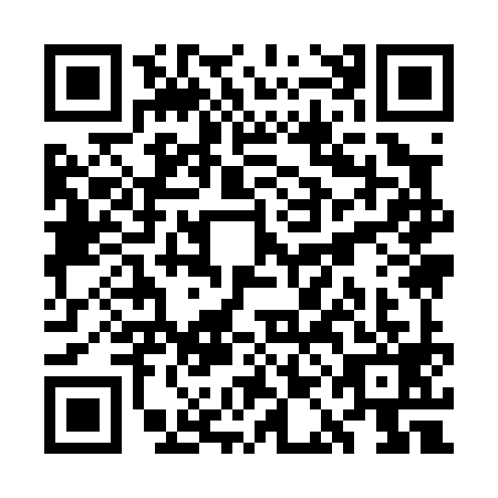QR code for WAI-0993