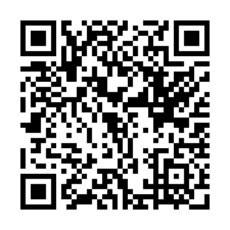 QR code for plate WAW-0317