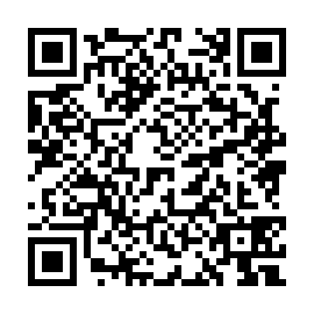 QR code for WCH-1382