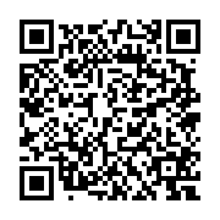 QR code for plate WDQ-4041