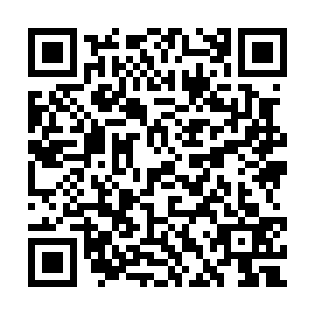 QR code for WDY-0335