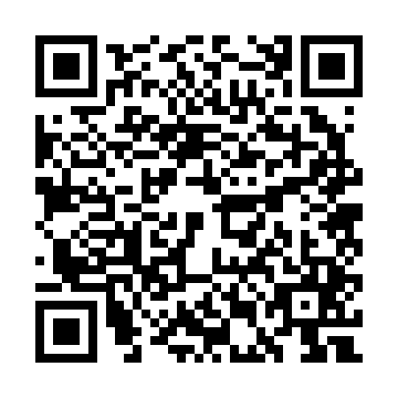 QR code for WEB2453
