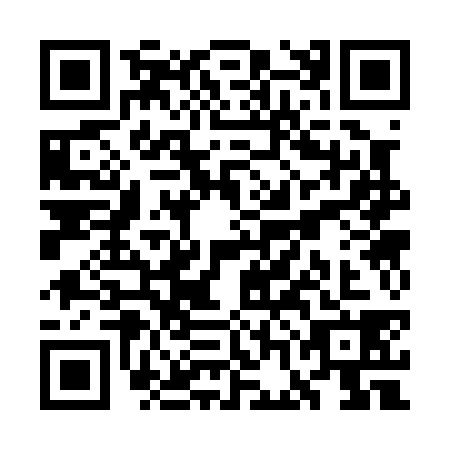 QR code for WGC0384