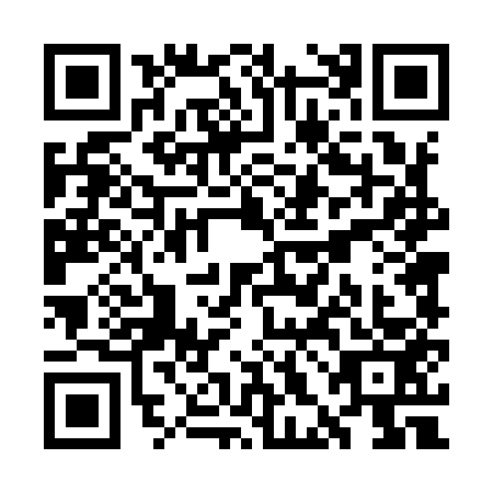 QR code for plate WHD-9533