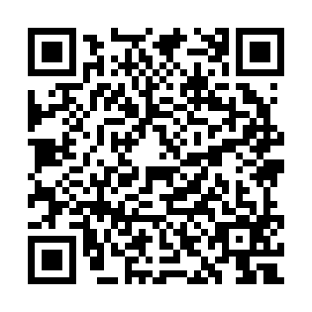 QR code for WII-2963