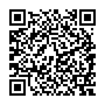 QR code for WKN2919