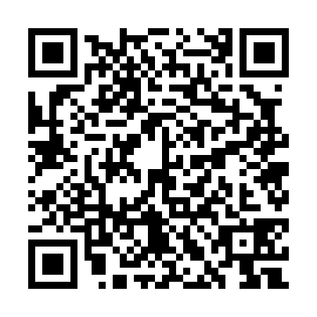 QR code for WLG0382