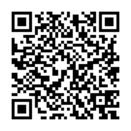 QR code for WLZ-9381