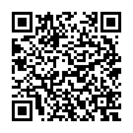 QR code for plate WMQ-6293