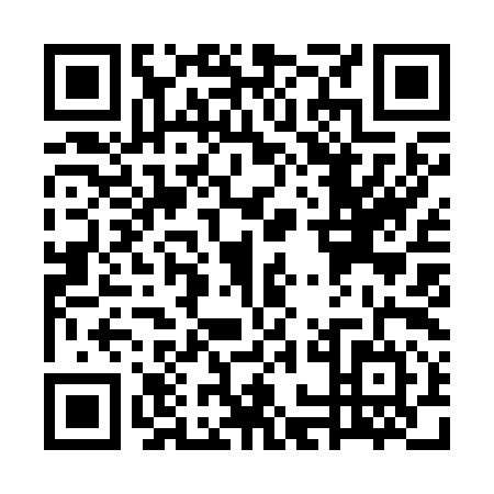 QR code for WOI-2941