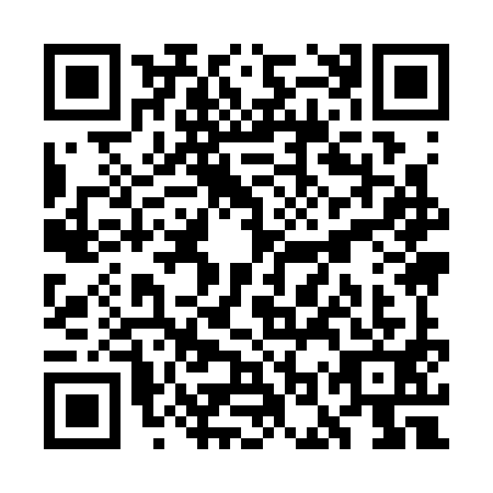 QR code for plate WOY-3911